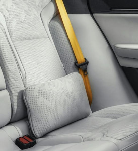 Comfortkussen, Polestar