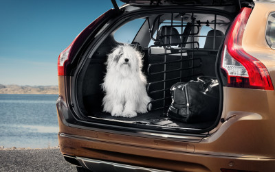 Scheidingsrek bagageruimte, in de lengterichting, Volvo XC60